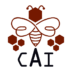 CAI